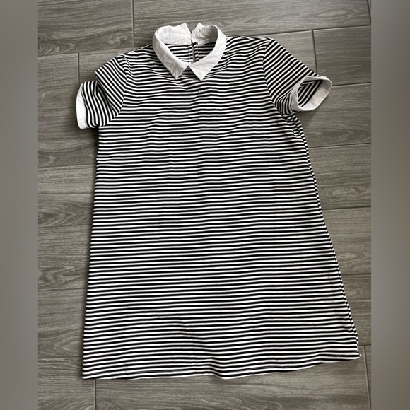Zara Dresses Zara Striped Collard Mini Dress Nautical Feelshift